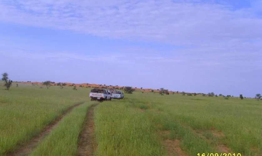 Photo de la galerie 32